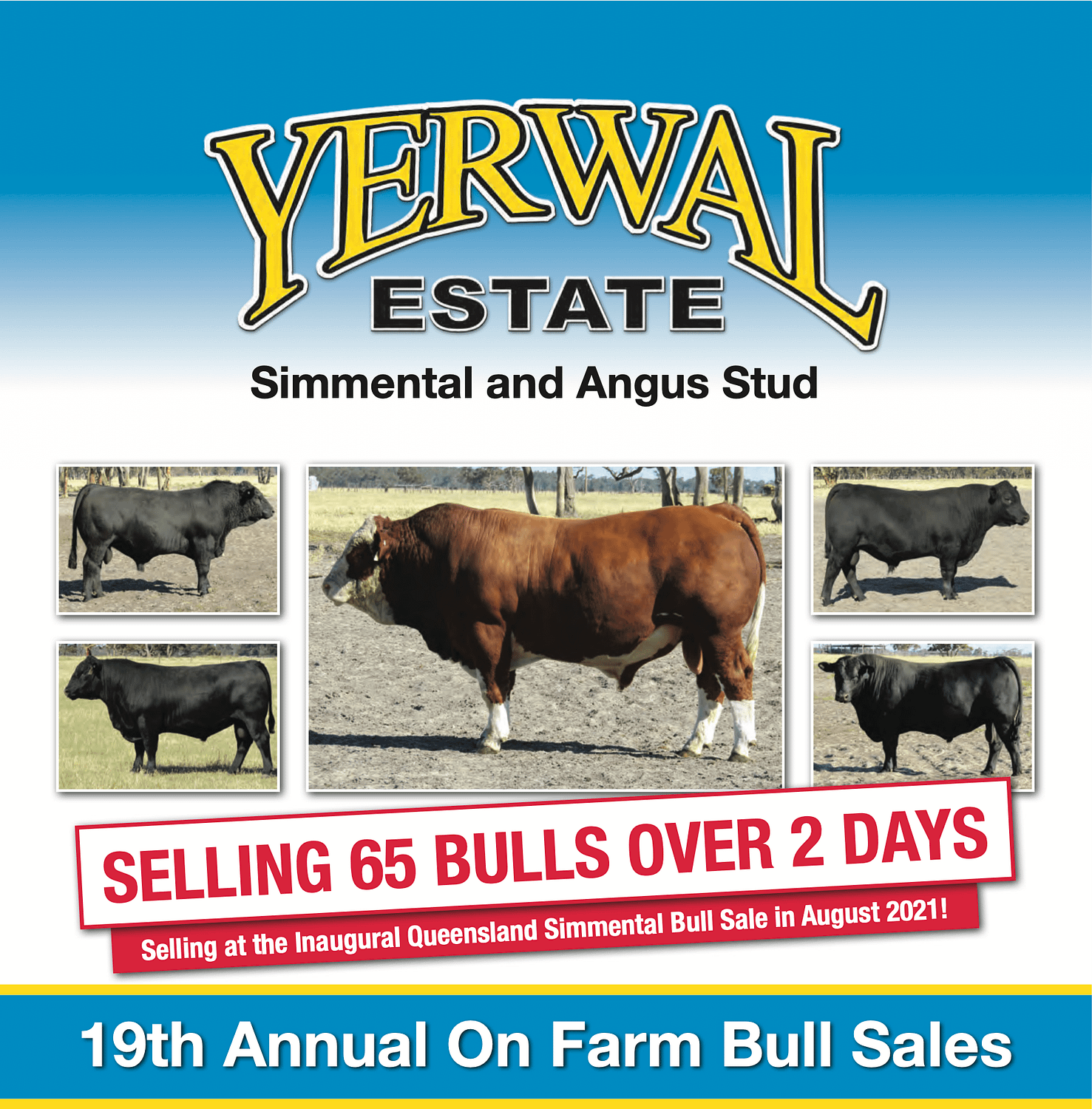 Yerwal Estate Bull Sale Catalogue