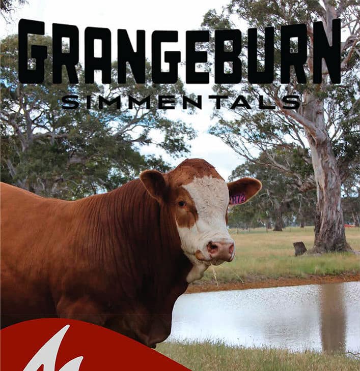 Grangeburn 2022 Bull Catalogue