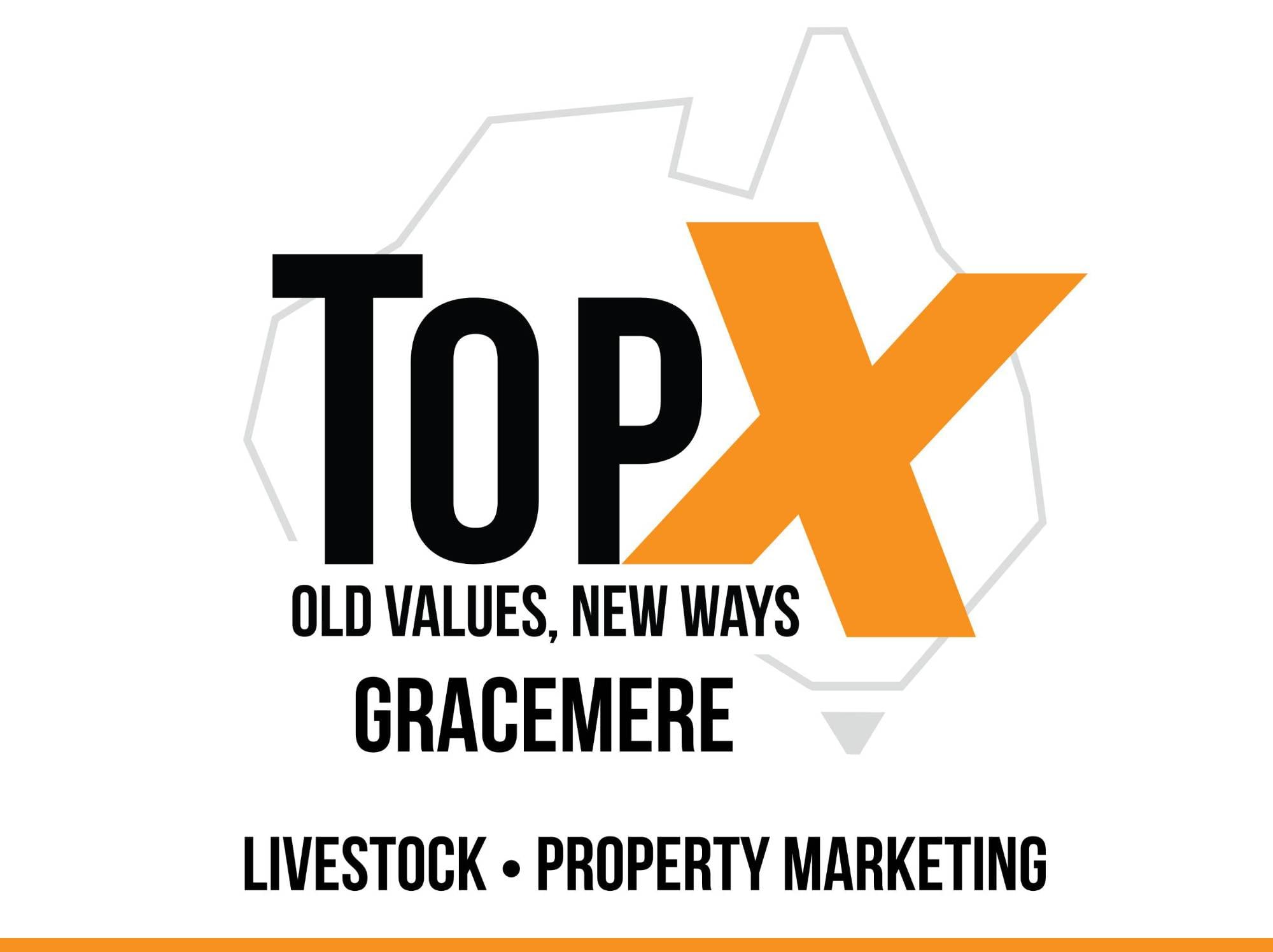 TOP X Gracemere becomes selling agent for the Queensland Simmental Bull Sale in 2024!